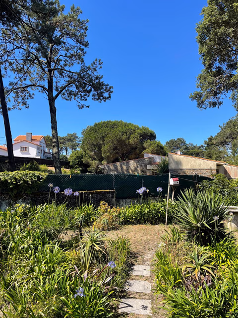 Casa do Pinhal — foto 2